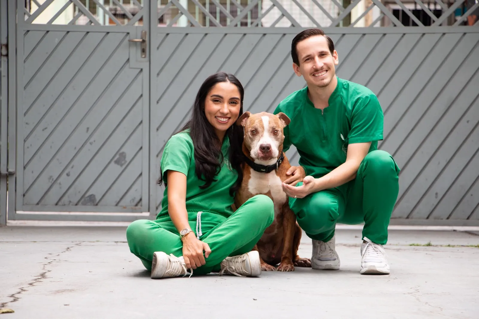 Natália e Bruno Gondim, da VeteriNaty, agachados ao lado de um cachorro