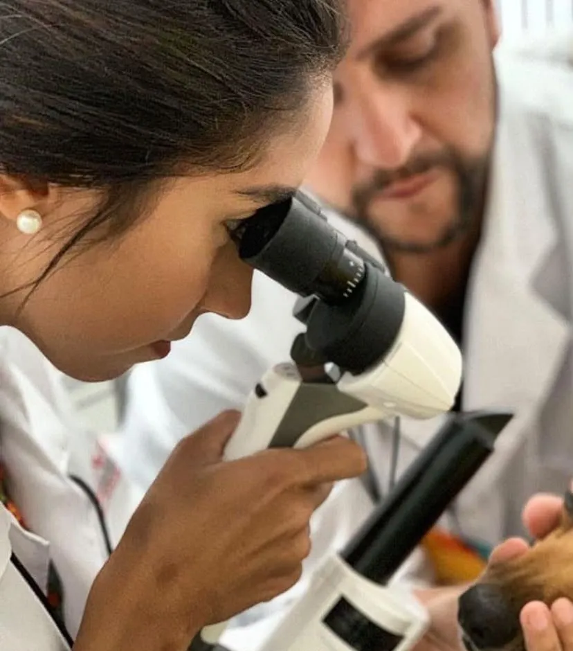 Dra. Natália Gondim realizando exame oftalmológico com lâmpada de fenda
